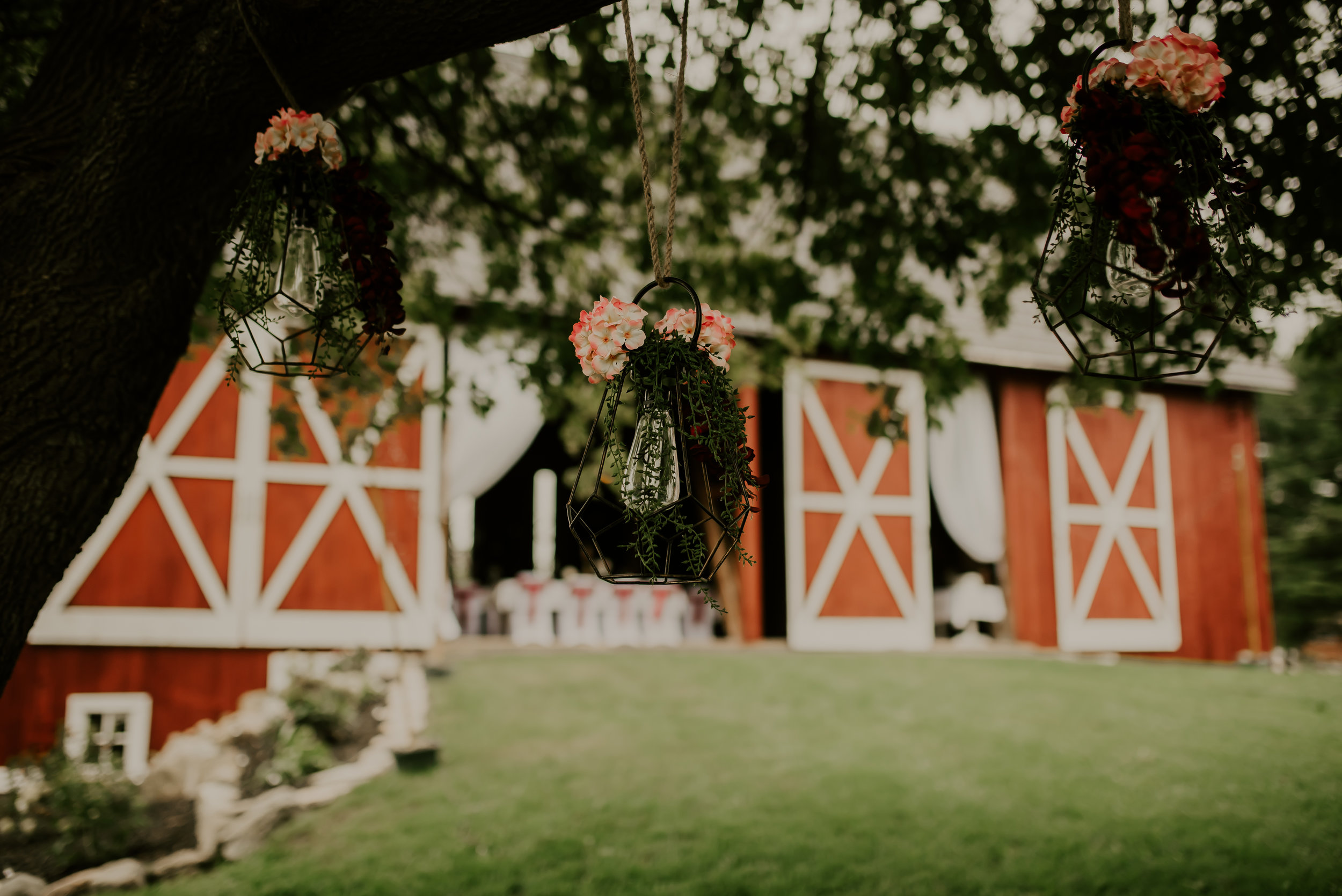 barn4(1of1).jpg