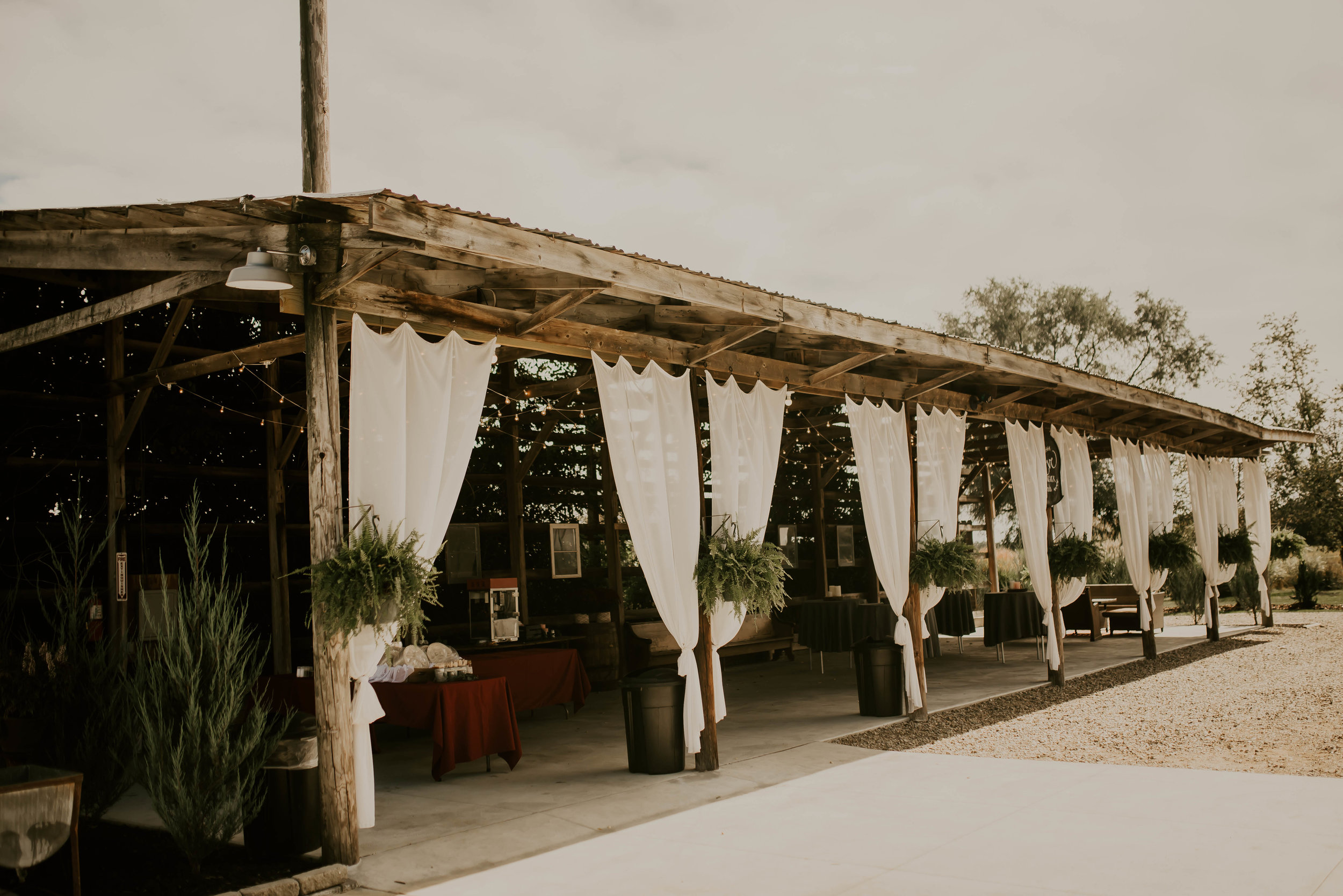 wedding-28.jpg