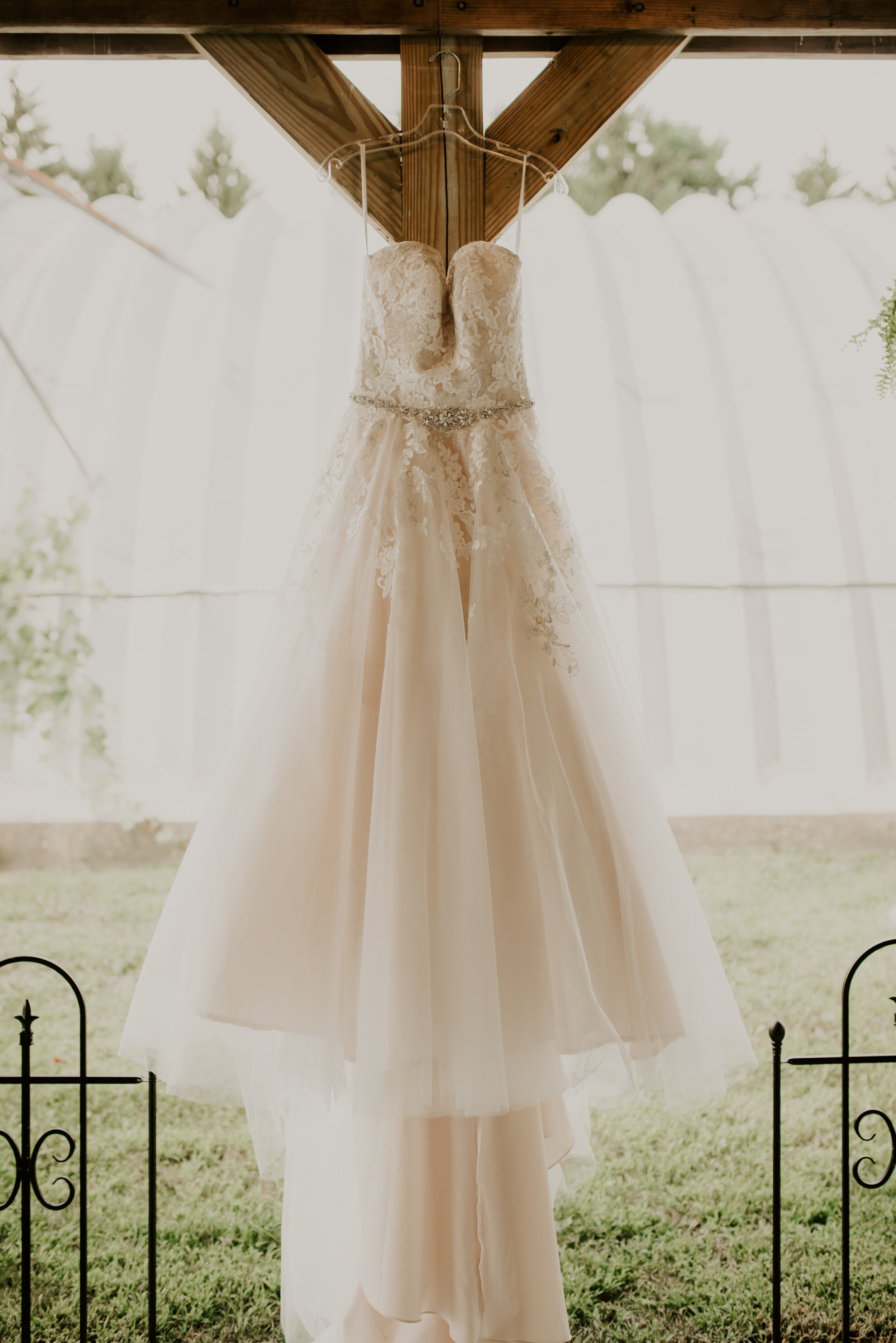 michelledustin-66.jpg