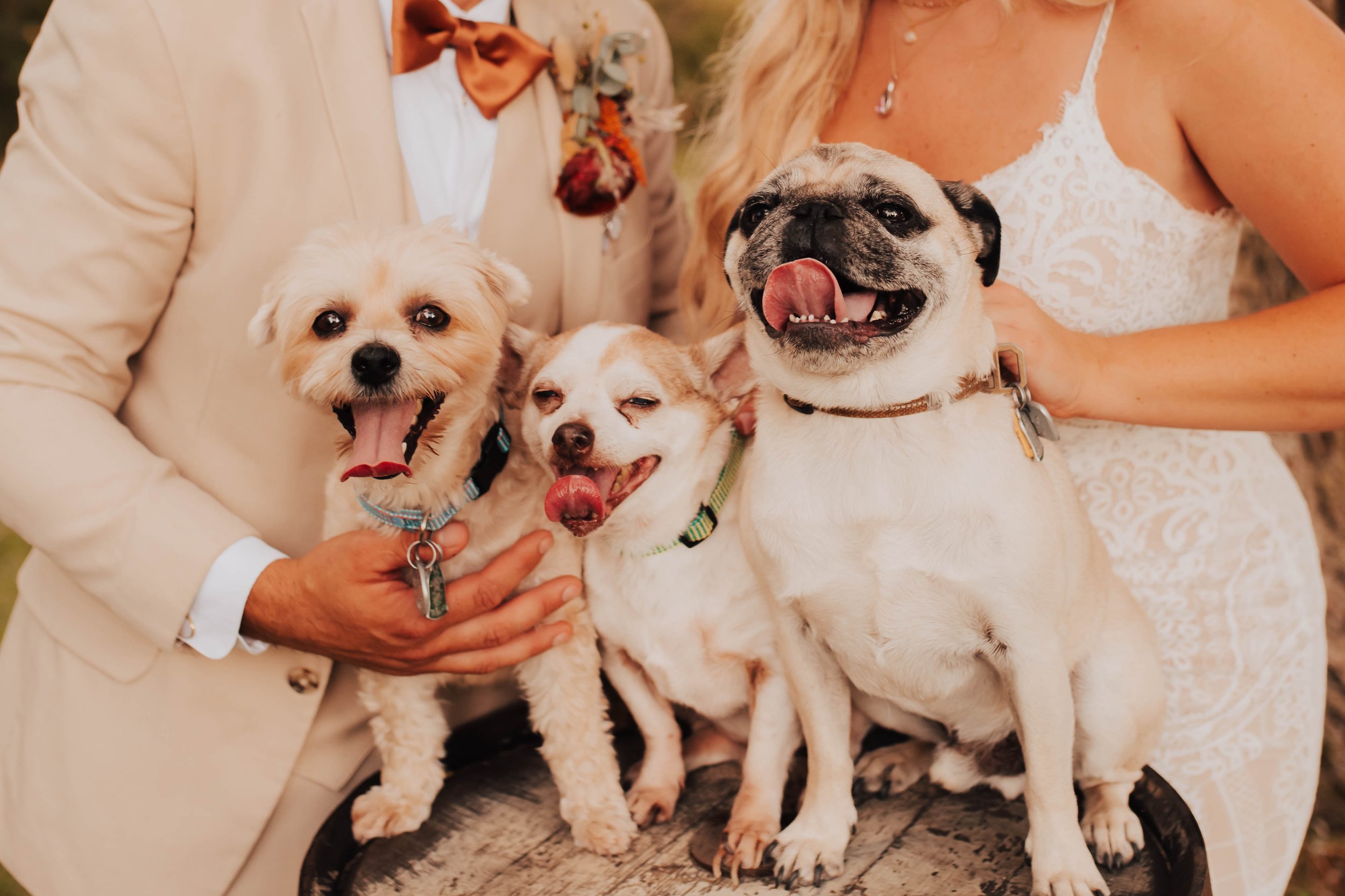 ke-644.jpg