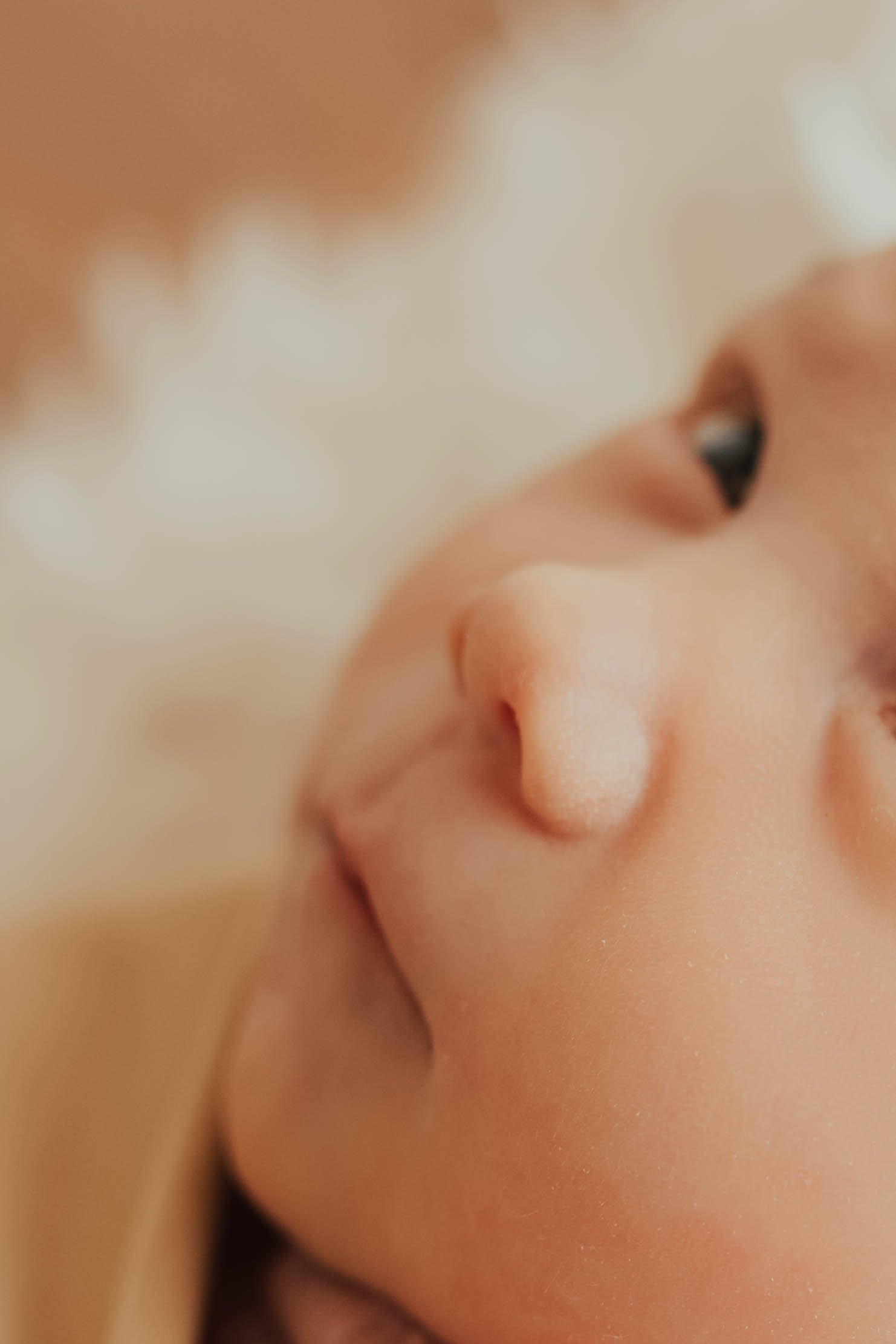 avalonnewborn-3.jpg